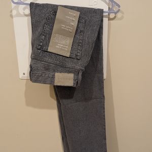 Everlane Rigid Slouch Jean Vintage Gray